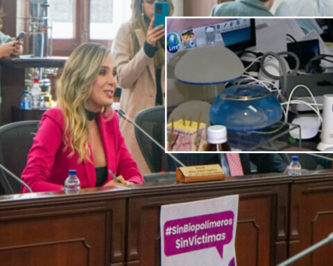 Progress in Congress: in the third debate they approved the project that penalizes the use of biopolymers