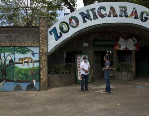 Regime converts the Zoo into a national park administered by Marena