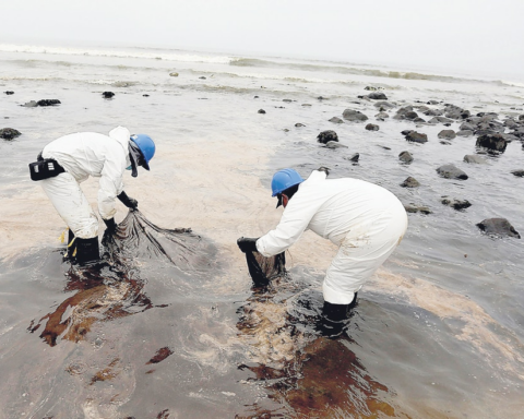 Repsol lobbied Congress to avoid accusation