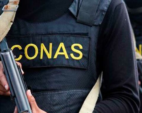 Rescued teenager who remained in the power of a Colombian network