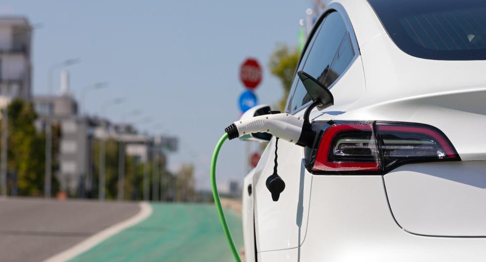 Sales of electrified vehicles would close the year at more than 2,600 units