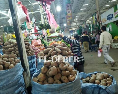 Santa Cruz: this Wednesday markets and supermarkets will open to resupply the population