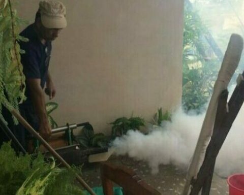 dengue, cuba, mosquito, Santiago de Cuba