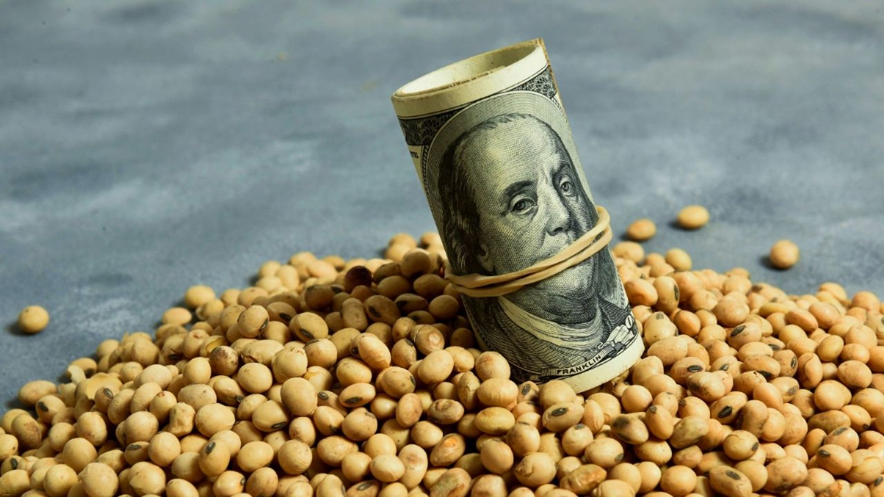 Soybean dollar II: details and new price starting Monday