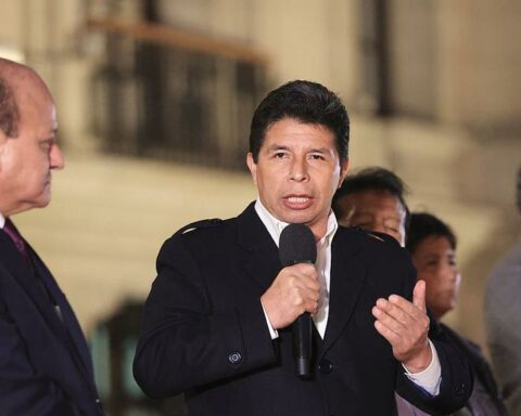 Subcommission approves constitutional complaint for treason against Pedro Castillo