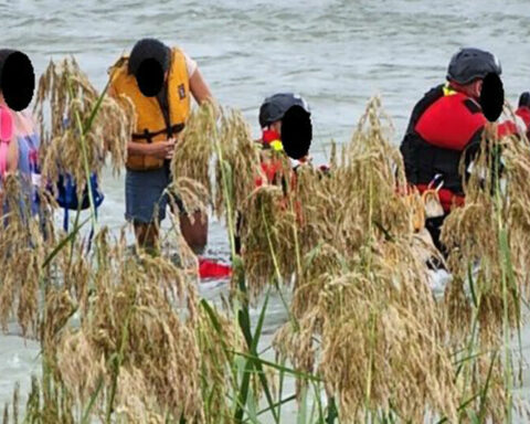 The Border Patrol rescues two Cuban women abandoned by coyotes in the Rio Grande