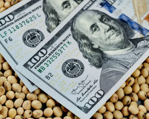 The Government would prepare a second chapter of the soybean dollar