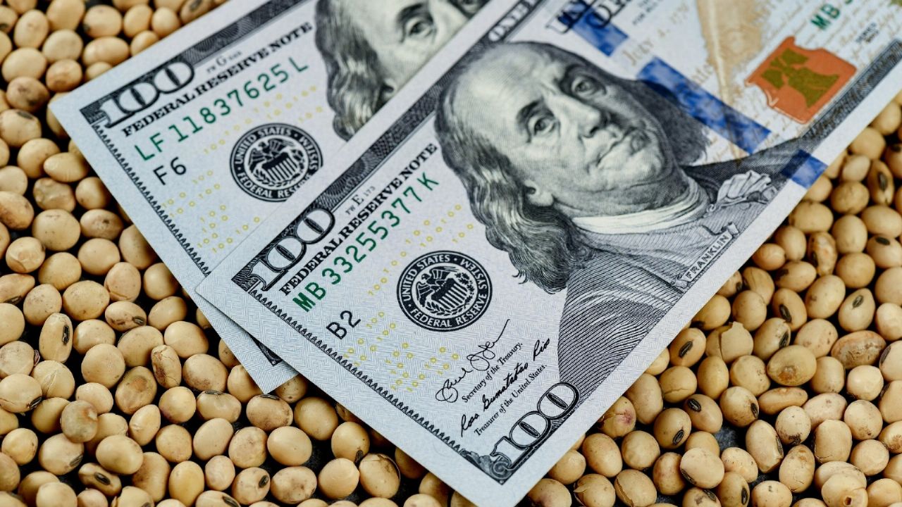 The Government would prepare a second chapter of the soybean dollar