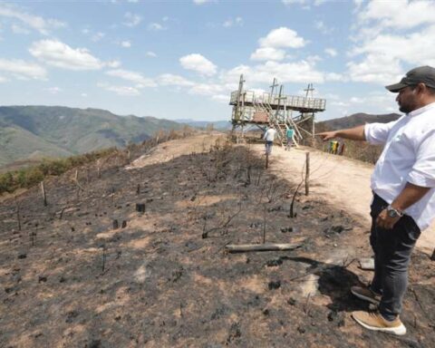 The Interior presents 4 complaints to the Prosecutor's Office in search of those responsible for the forest fires