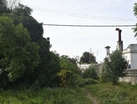 The Ministry of the Interior announced the placement of 2,000 cameras in neighborhoods affected by the increase in homicides