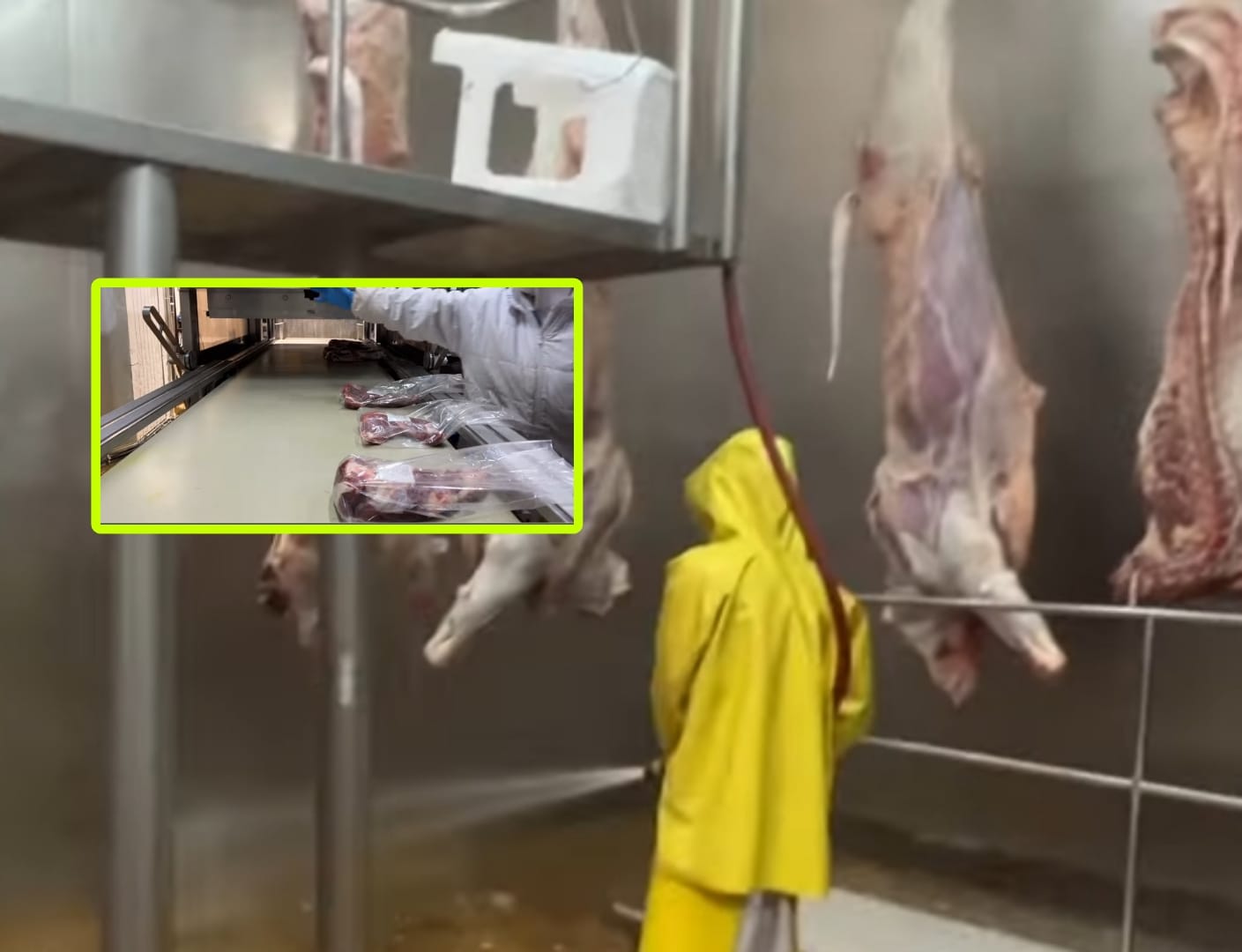 ¿Afectaría reabrir los mataderos en Colombia a los frigoríficos?