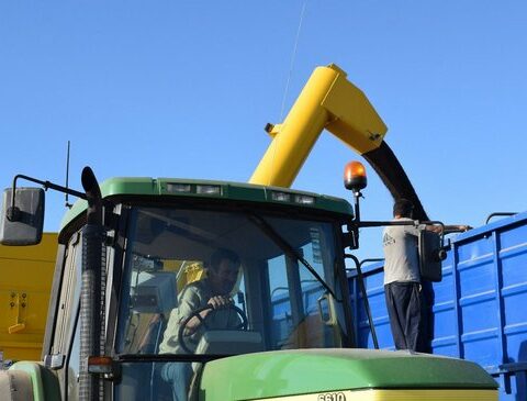 The drought could not with the grains and there will be a record harvest