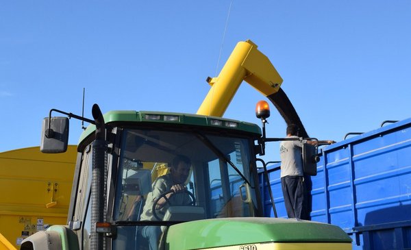 The drought could not with the grains and there will be a record harvest