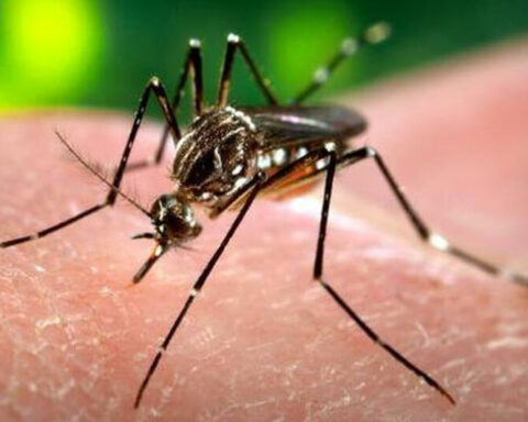 The lack of means leaves in Santiago de Cuba the highest number of dengue outbreaks in 15 years