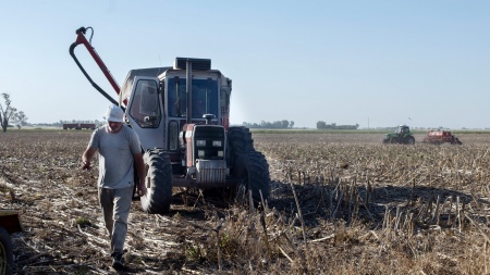 The persistent drought hits wheat producers in the core zone hard