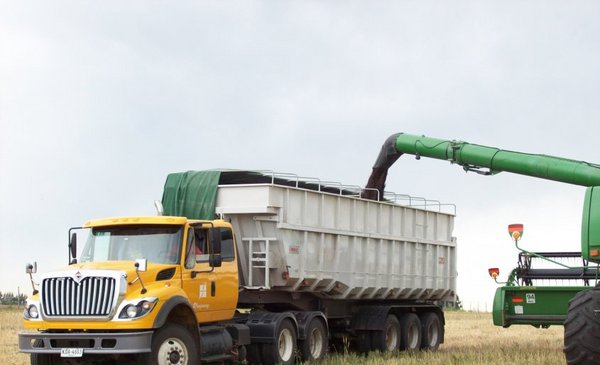 There will be 74,500 truck trips to transport the grain harvest