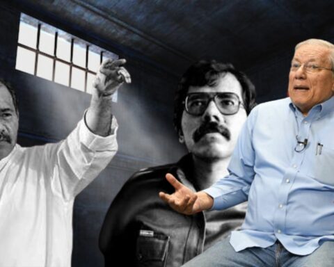 These are the most important news for November 22, 2022