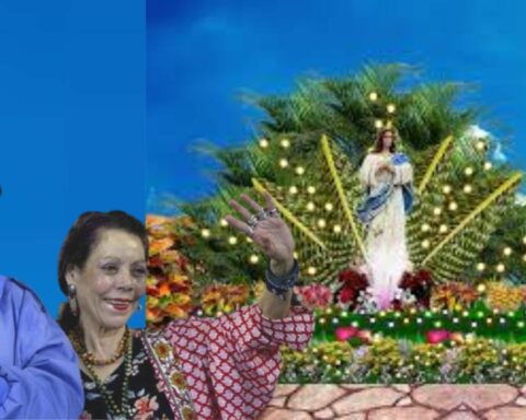 These are the most important news for November 28, 2022