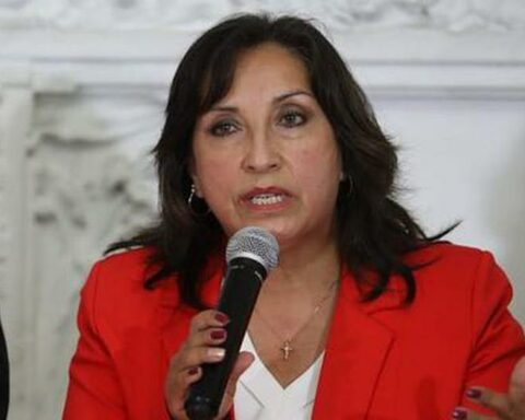 These are today's short films Saturday November 26, 2022