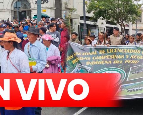 They carry out a march in favor of the government of Pedro Castillo and ask for the closure of Congress