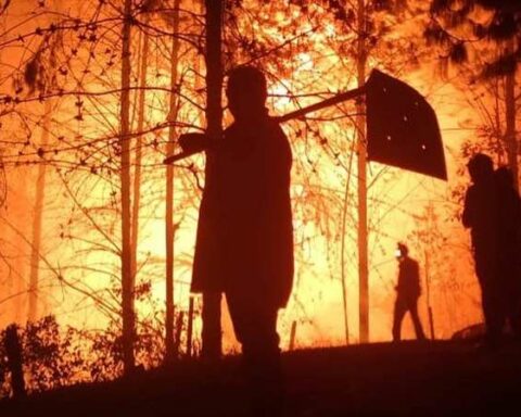 They control the fire in Samaipata, but they are concerned about the fires in the Noel Kempff and Otuquis protected areas