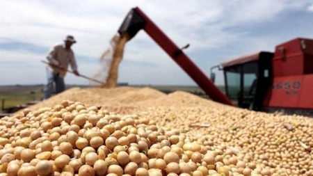 They created a compensation program for small and medium producers of soybeans and corn