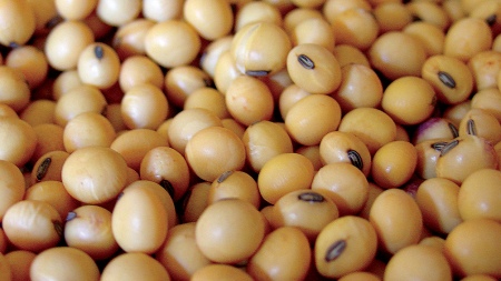 They estimate that the new soybean dollar will add more than US$ 3,000 million to reserves