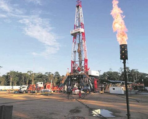 They warn that Peru can be a "serious competitor" for Bolivian urea