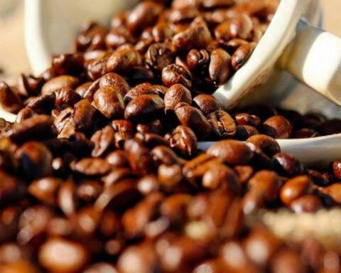They will invest more than US$400 million to create a coffee plant in Peru