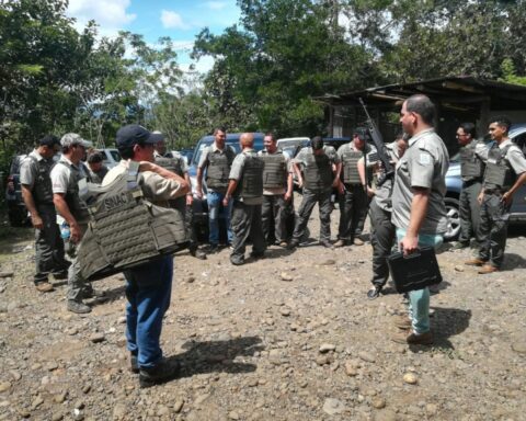 They will try to capture the crocodile that attacked a child in Costa Rica