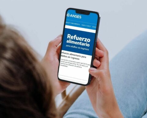 This was the payment schedule for the Food Reinforcement