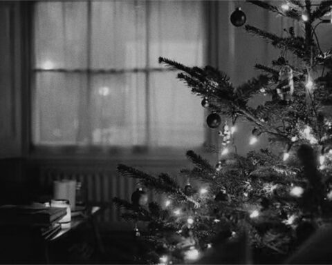 Those who will be missing at Christmas