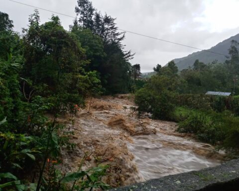 Tragedy in Popayán: a nine-year-old girl died after falling into a ravine