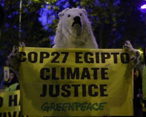 Two Colombian members denounced at COP 27 for sexual harassment