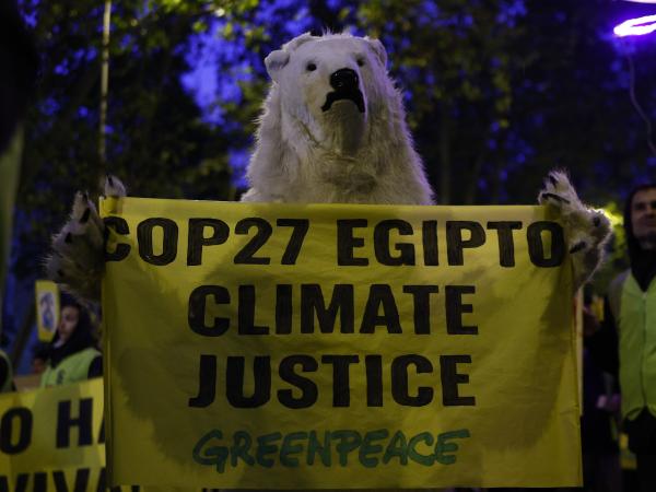 Two Colombian members denounced at COP 27 for sexual harassment