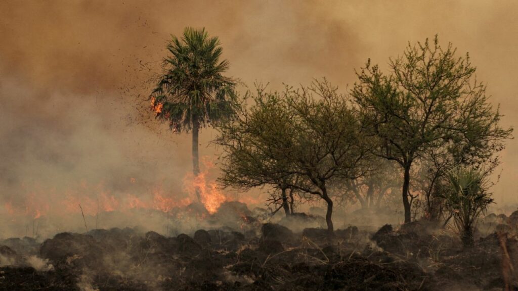 Two large fires affected the province of Corrientes