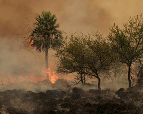 Two large fires affected the province of Corrientes