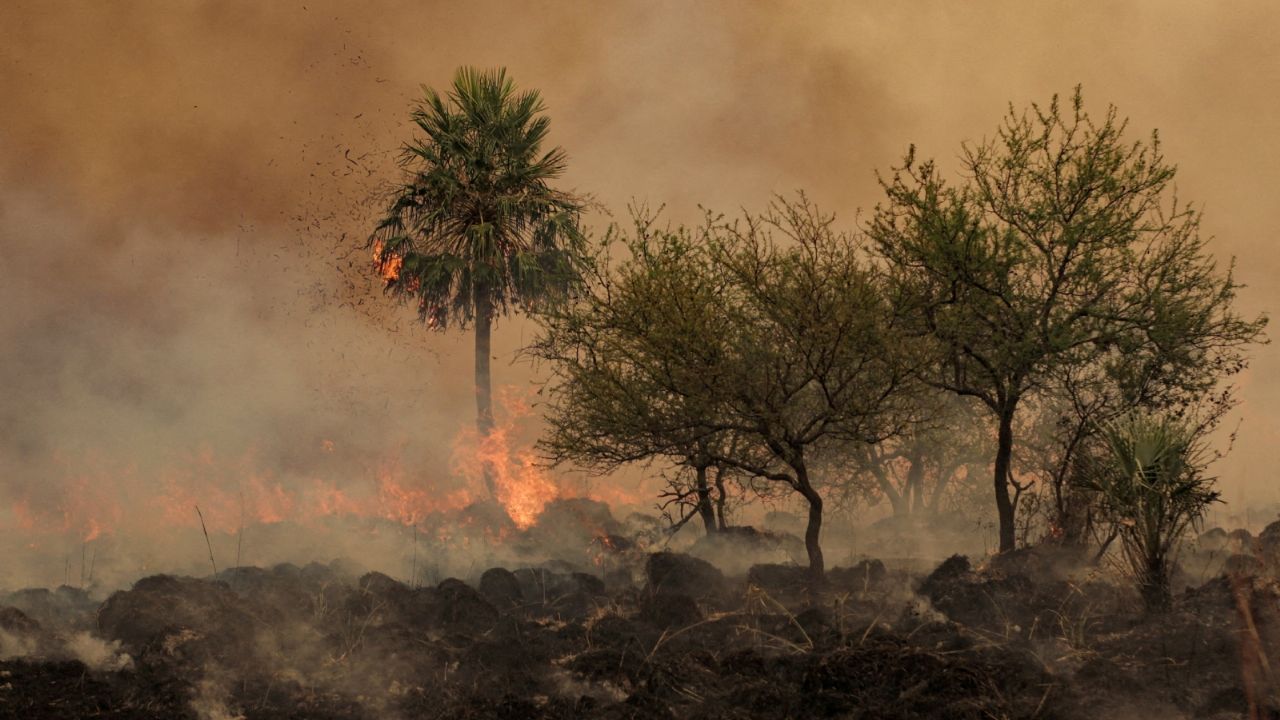 Two large fires affected the province of Corrientes