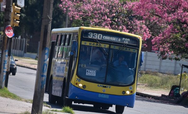 UCOT transport cooperative carries out a strike this Tuesday and Wednesday for looting a worker