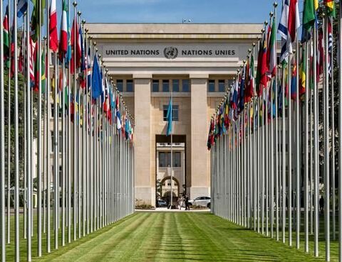 Vice President met with UN Director General in Geneva