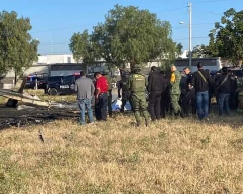 Video shows flock near crashed helicopter in Aguascalientes