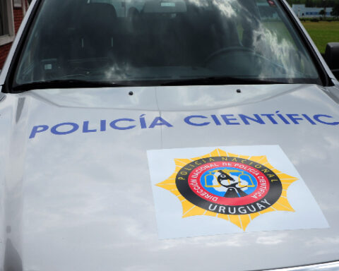 Sauce Parque Guaraní cadáver