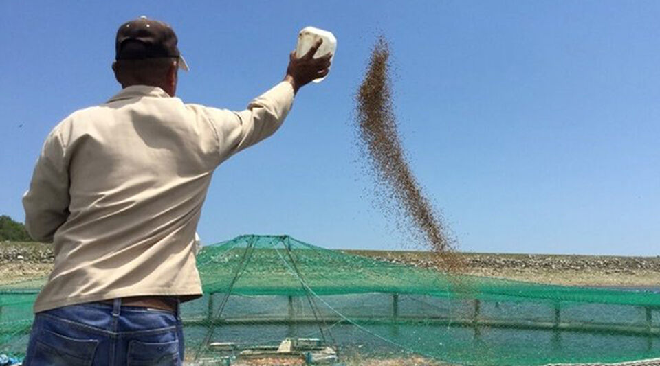 With dams invaded by weeds, aquaculture cuts its production in half in Cuba