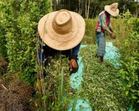 World leaders support drug legalization proposed by Petro