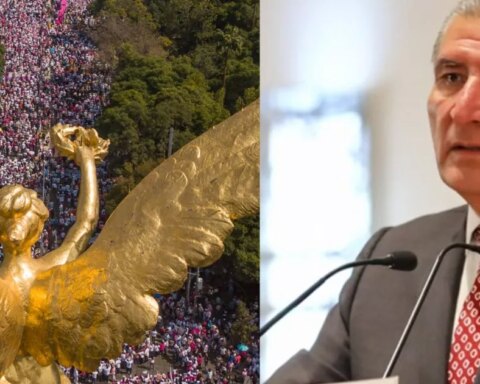 "A cartoon"says Adán Augusto about the march in defense of the INE