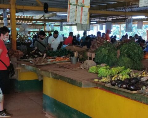 "Inspectors monitor the sale of tomatoes in Cuba as if it were a lobster tail"