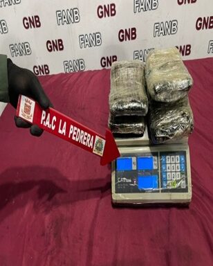 25 panelas of marijuana located in the patio of a house