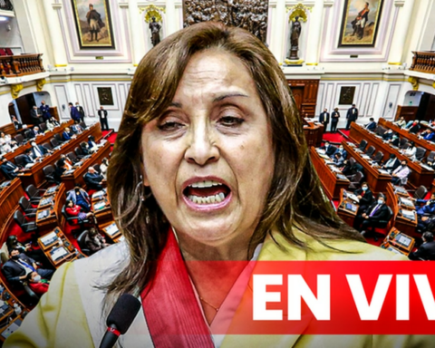 Advancement of elections: Minister of Justice will go to Congress to support the project of advancement of elections