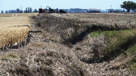 Almost 23 million hectares are in severe drought conditions