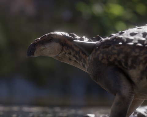 Argentine scientists found a new species of dinosaur in Río Negro